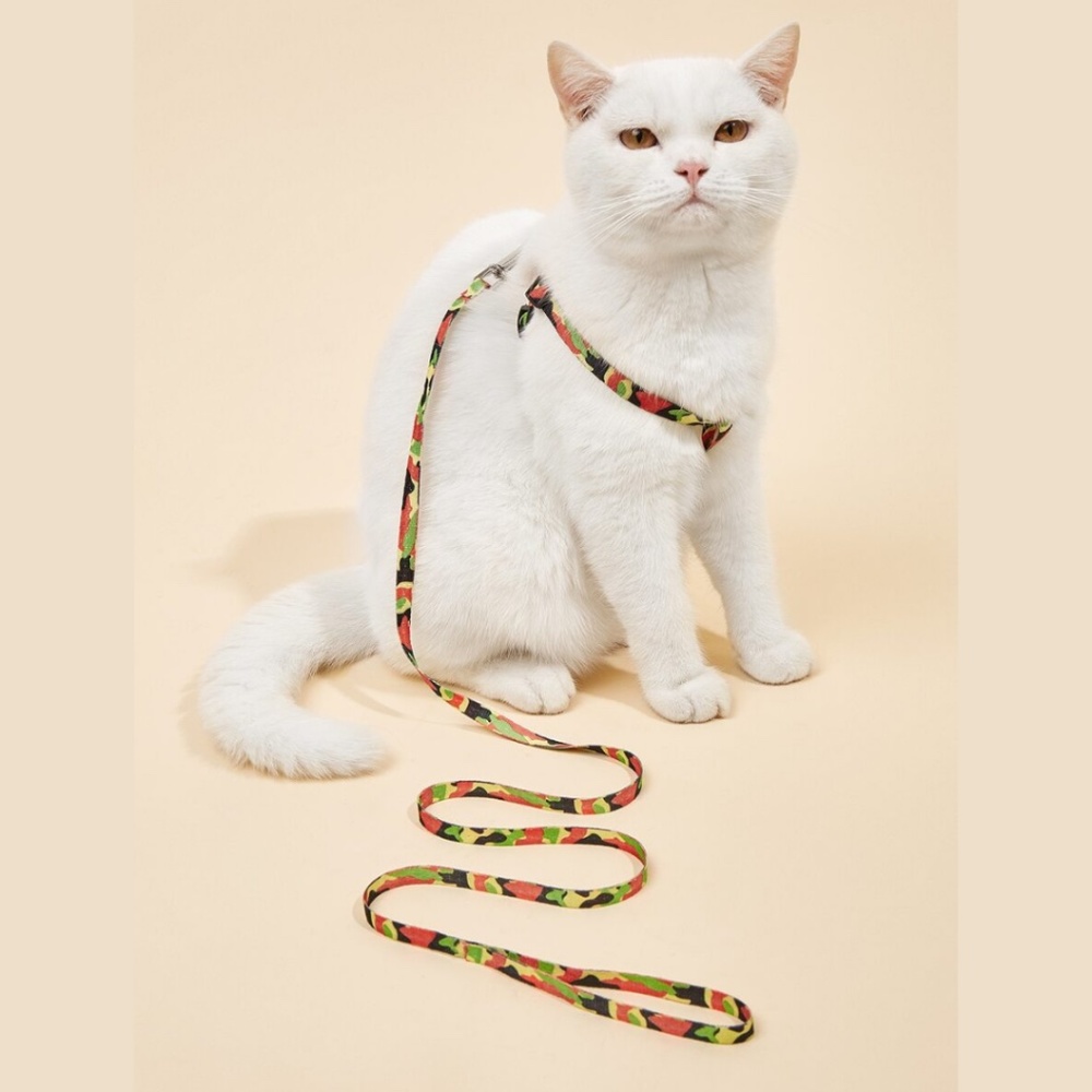 🔵 80% off 🔵 Dark Blue Pet Harness with Leash